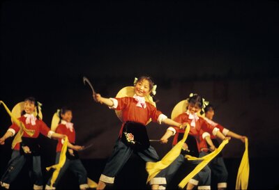 Wuxi Little Red Guards Performance