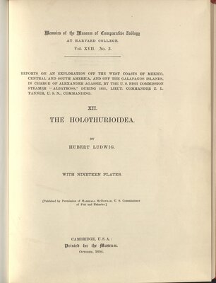 The Holothurioidea – Title page