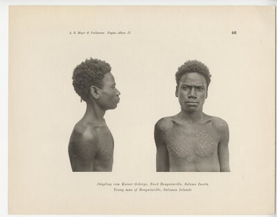 Album von Papúa-Typen II : Nord Neu-Guinea, Bismarck Archipel, Deutsche Salomo-Inseln, etwa 550 Abbildungen auf 53 Tafeln in Lichtdruck – Plate 46