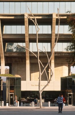 View of Silent Tree re-installed in front of the University Library, UCSD, June, 1993