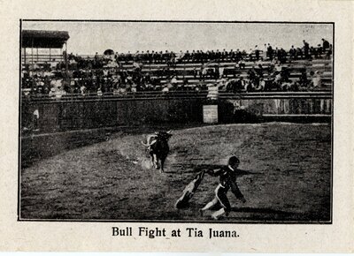 Bull Fight at Tia Juana