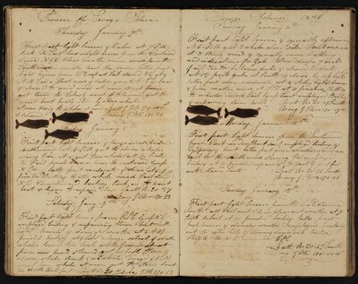 A Journal Kept Onboard the Bark Pioneer (1834) 