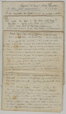 Letters from the Du Petit-Thouars Expedition to Tahiti and South American on the Corvette Somme